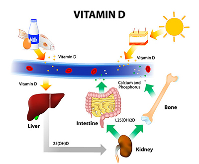 vitamin_d_infographic_sm.jpg